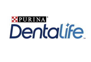 dentalife_logo_big_1-1920w