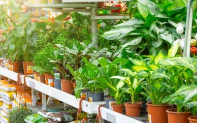 Prodotti Giardinaggio