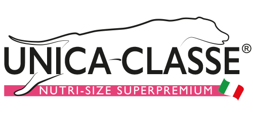 unica+classe-1920w